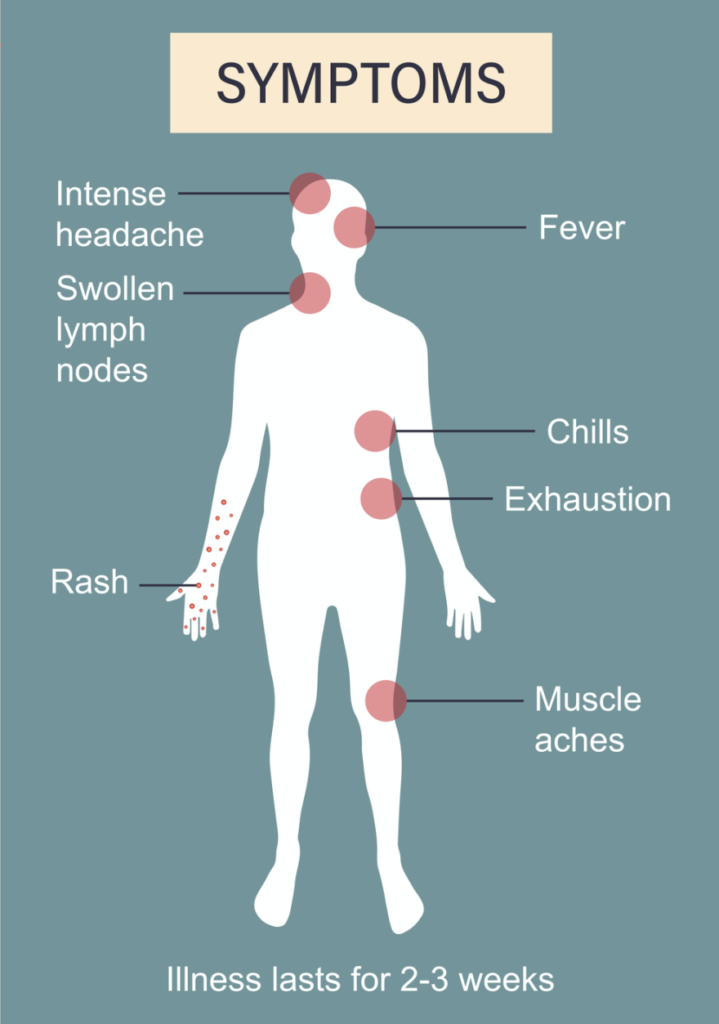 mpox symptoms