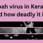 nipah virus